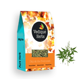 Nirgundi (Vitex negundo)