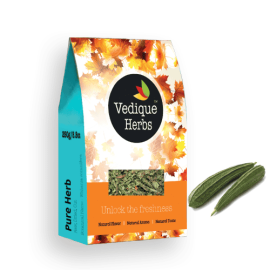 Patola (Trichosanthes dioica)