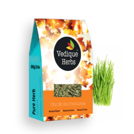 Wheatgrass